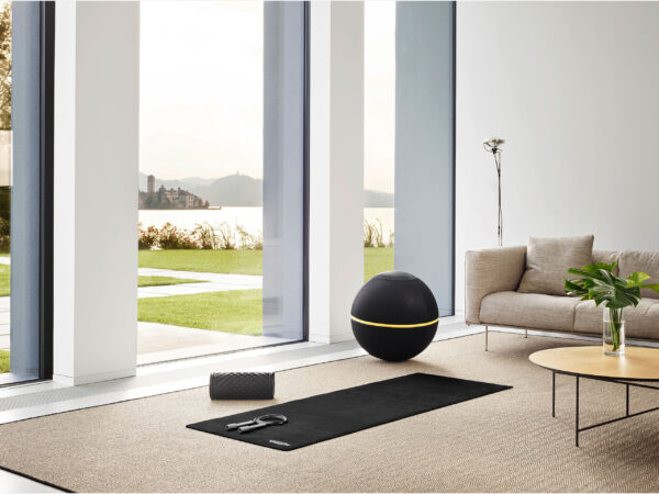 Wellness Ball Active Sitting