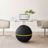 Wellness Ball Active Sitting