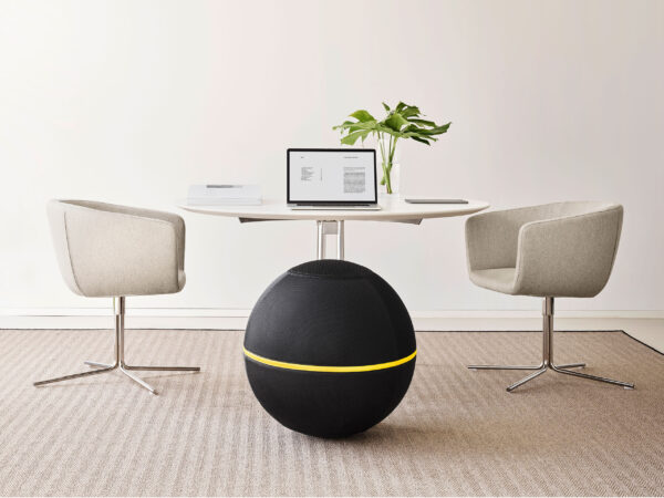 Wellness Ball Active Sitting