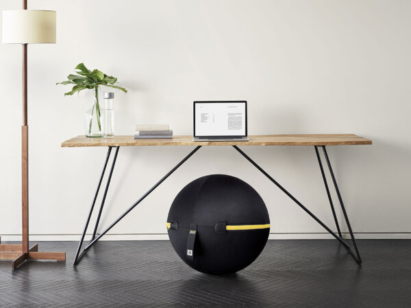 Wellness Ball Active Sitting