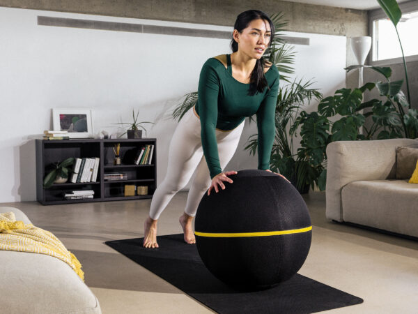 Wellness Ball Active Sitting